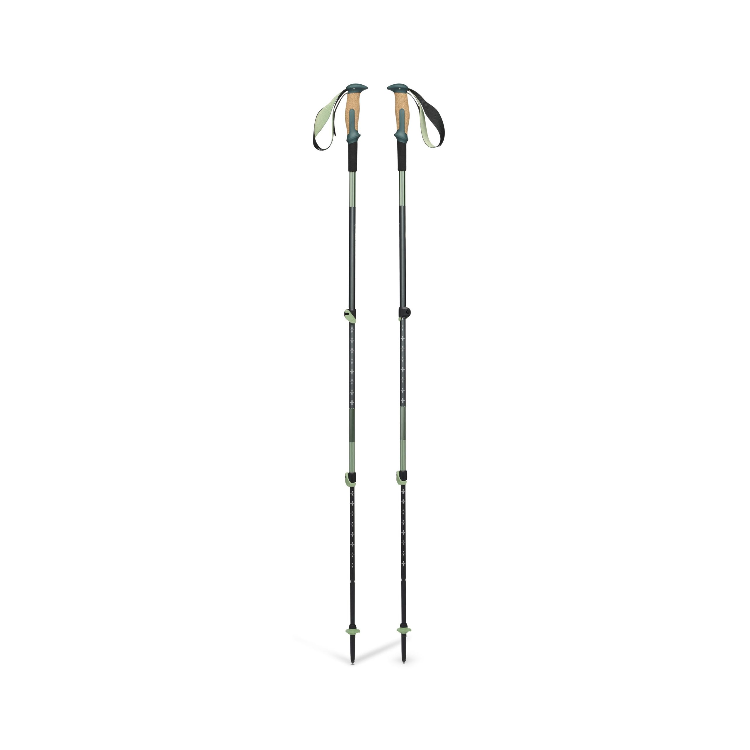 Trail Vista Shock Trekking Poles